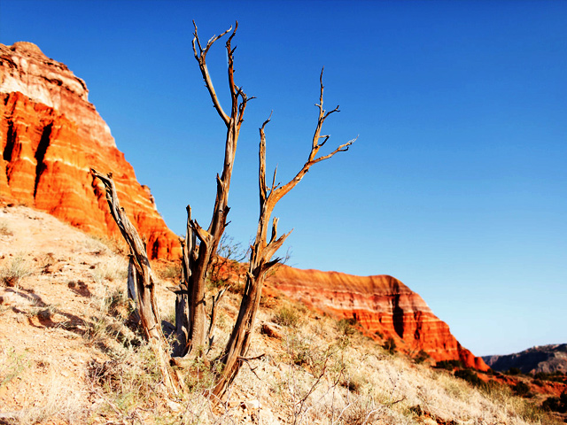 Palo Duro canyon in Texas.