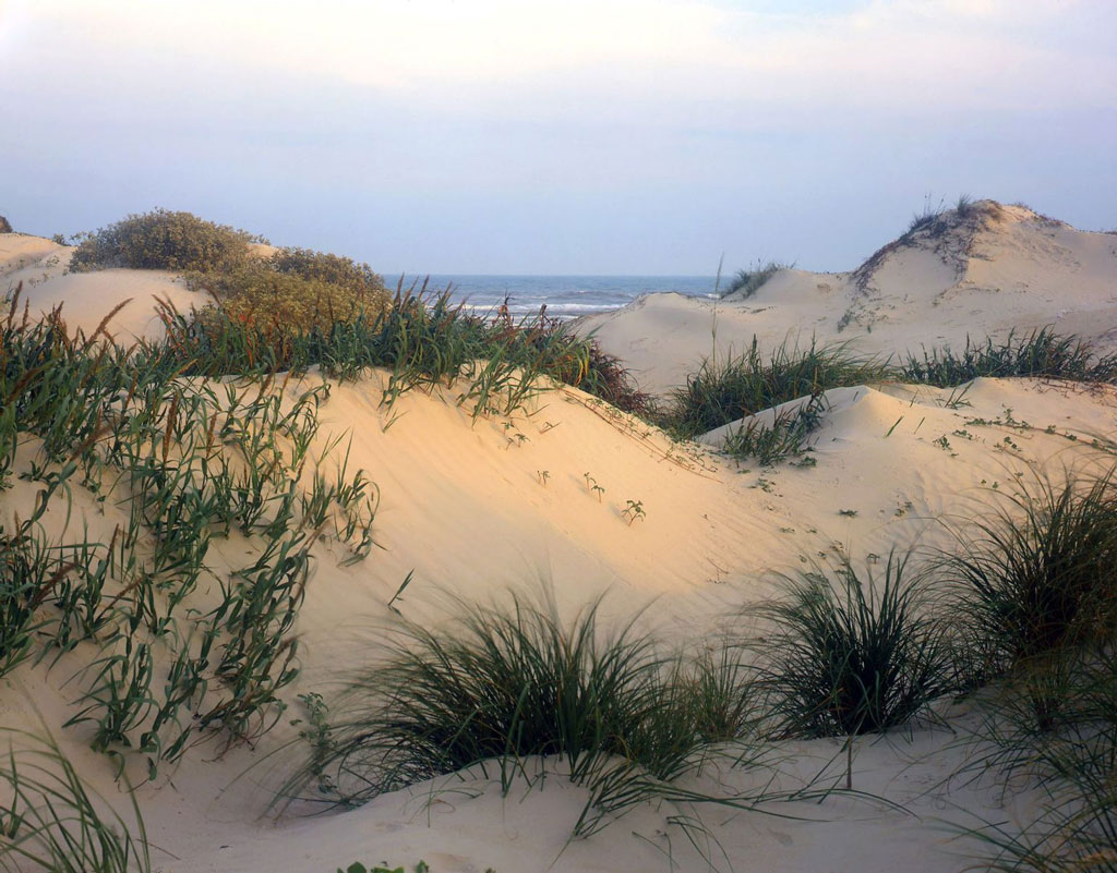 Sand dunes at dusk in South Padre Island National Seashore.