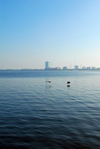 Along the borders of Lake Charles.