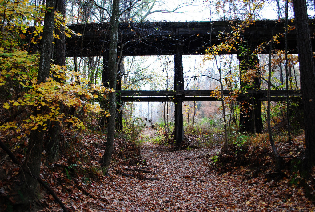 Damp leaves cover the ground beneath an abandoned trestle.