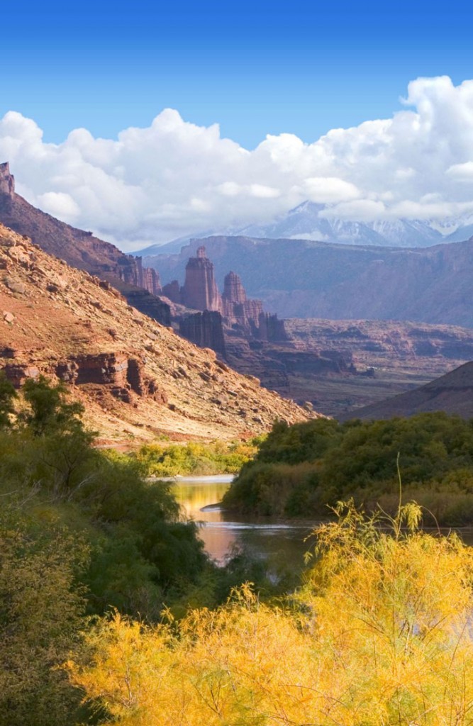 Tamarisk trees growing on the banks of the Colorado River as it cuts through a canyon in Utah.