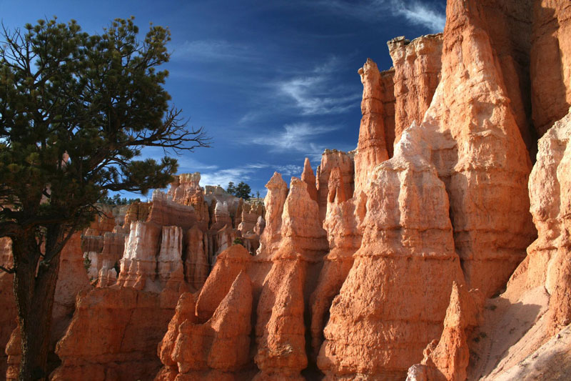 Red rock hoodoos in Bryce Canyon on a sunny day.