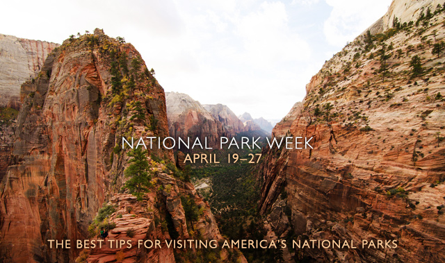 The trail to Angel's Landing, in Zion National Park.