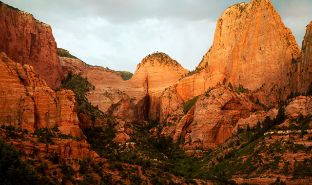 The red rocks of Zion National Park.