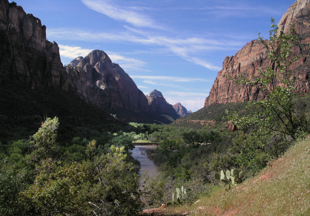 Sawtooth red rock canyon walls rise up as a river cuts through lush greenery.