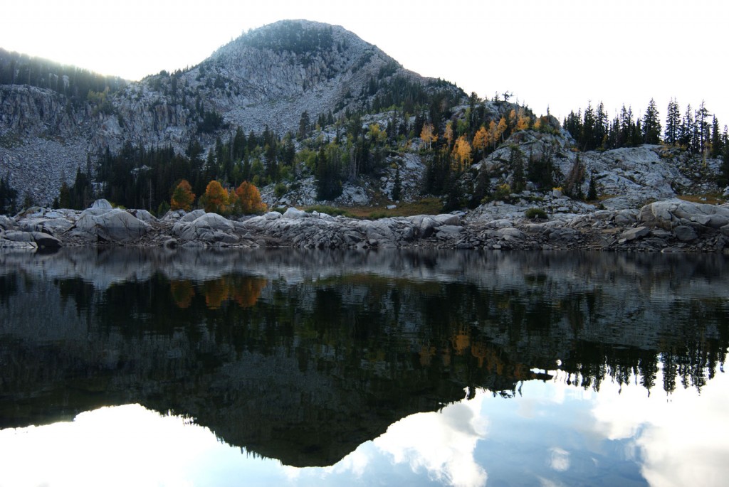 A fragmented stone mountain rising up above scattered coniferous trees.