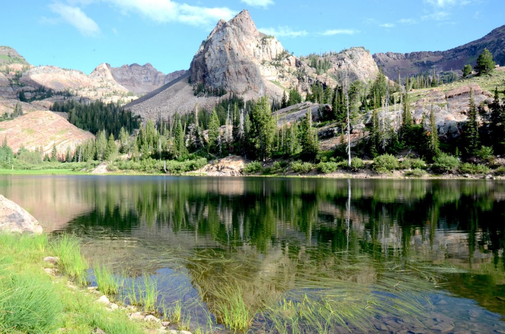 A bare stone peak juts up sharply above a tree-lined lake with grasses growing on shore.