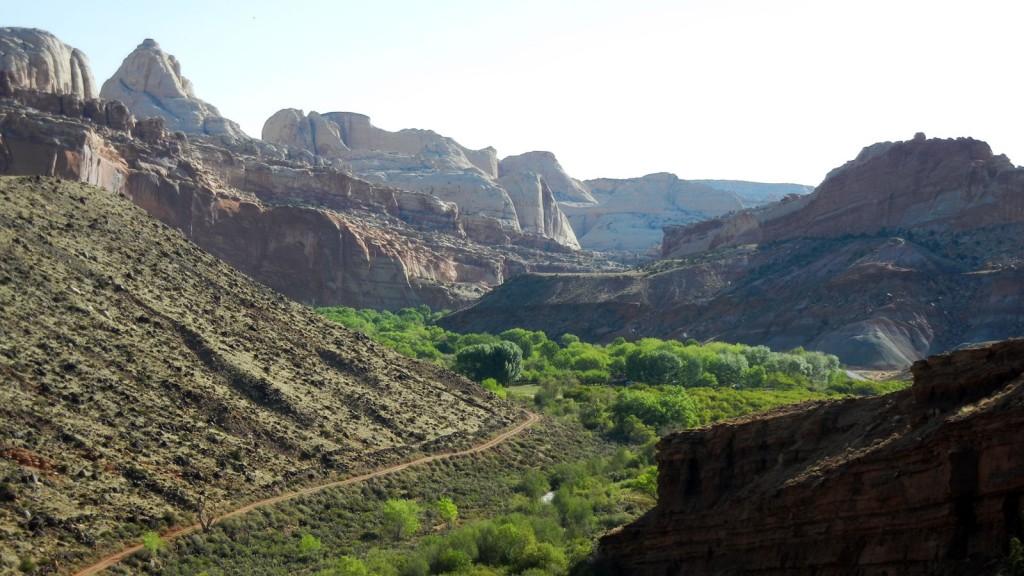 A wide verdant swath snakes through the rocky terrain of Capitol Reef.