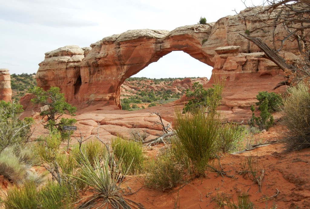 Red dirt with clustered grasses in the foreground while a flat-topped arch spans across the landscape in the background.