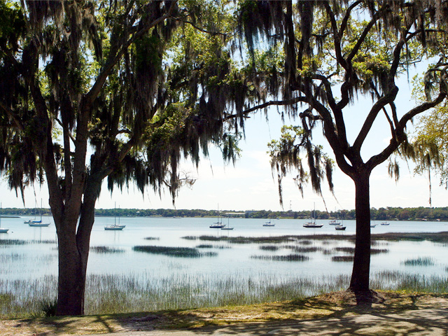 Take a walk around charming Beaufort, which inspired so much of the work of novelist Pat Conroy.