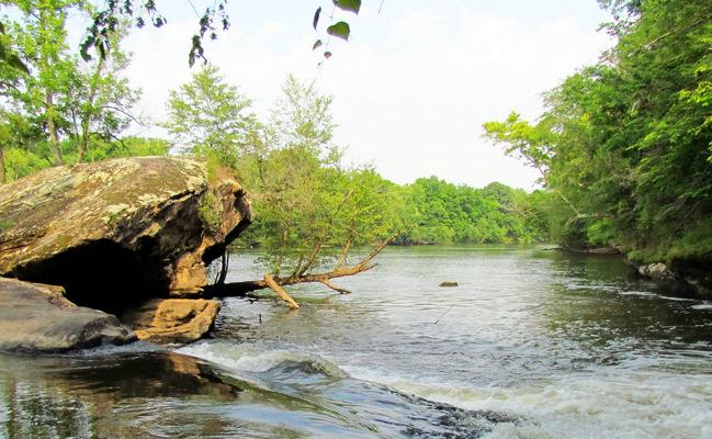 The Cape Fear River in North Carolina's Raven Rock State Park.