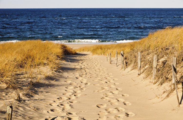 The Cape's beaches the gamut of serene and isolated to party beaches to a windsurfer's dream. Image by Kenneth Wiedermann / iStock / Getty Images Plus