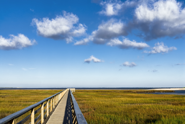 Spot sealife as you take your lunch along the boardwalk of Gray's Beach. Image by John Greim / LightRocket / Getty Images