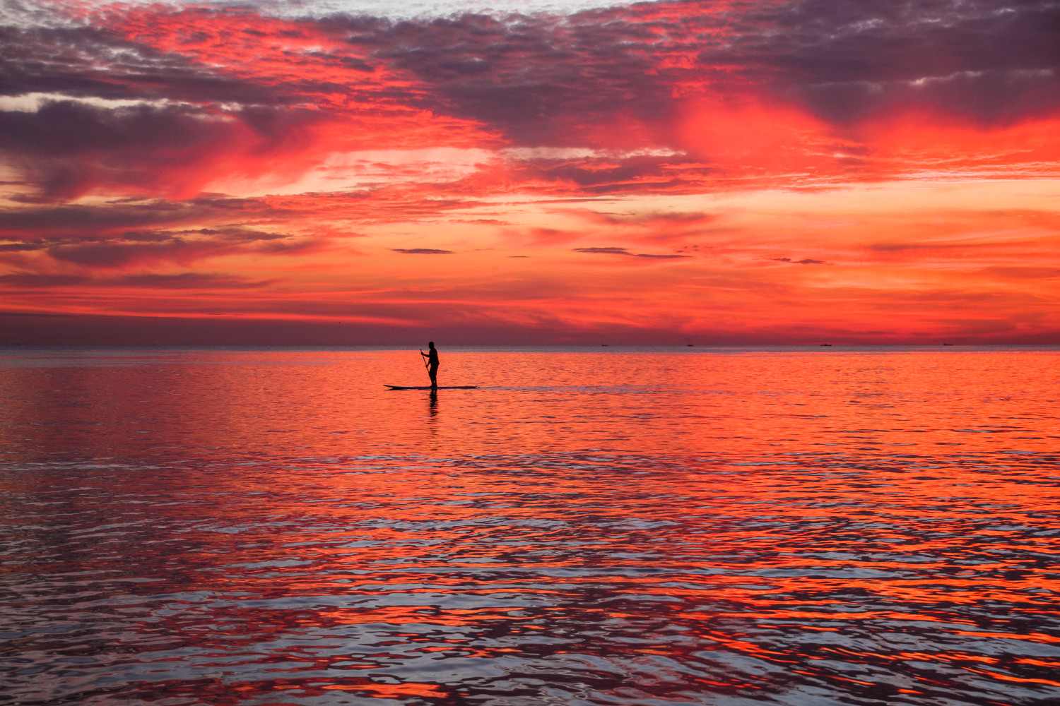 Paddleboarding at Palolem, Goa. Image by Paul Harding / Lonely Planet