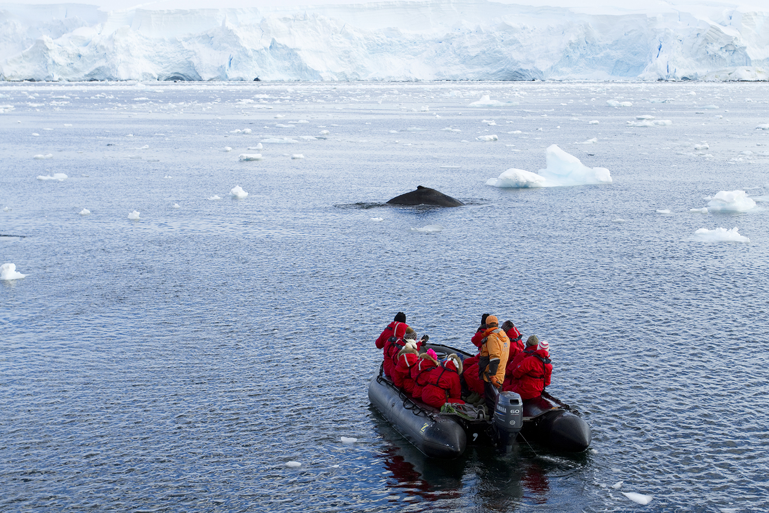 Zodiac © Kerry Christiani / Lonely Planet