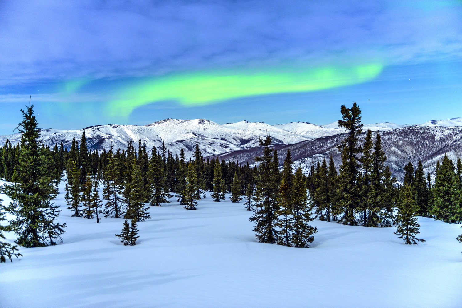 Aurora Borealis (Northern Lights) near Fairbanks, Alaska © Chris McLennan / Travel Alaska