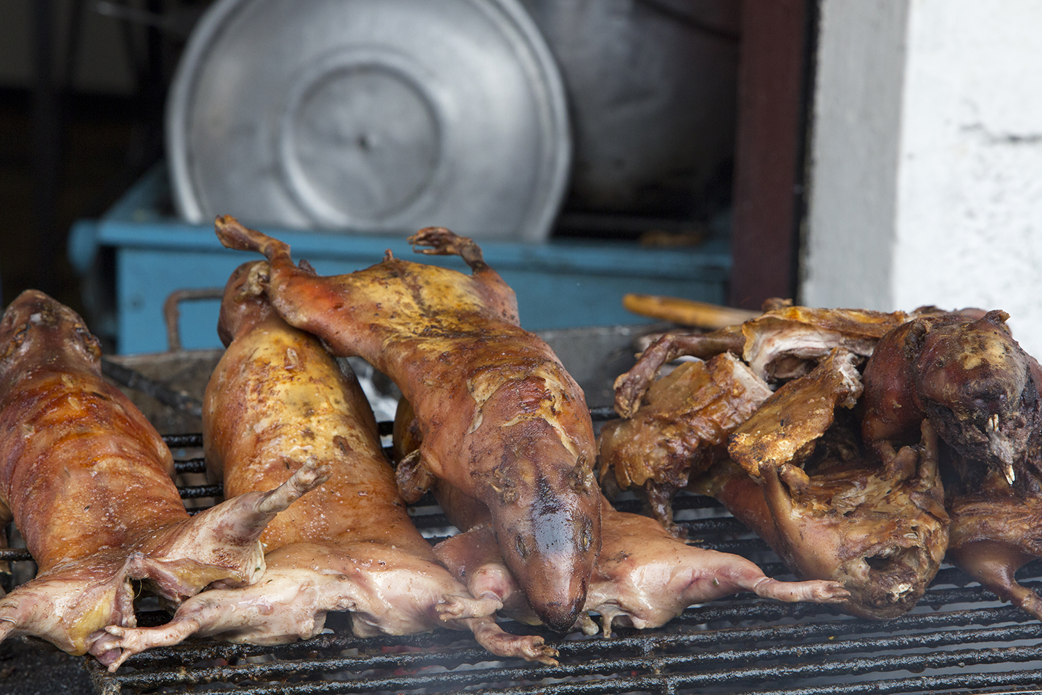 Cooked cuy (guinea pig) in Banos © Piccaya / Getty Images