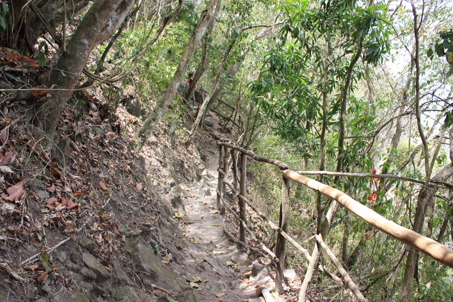 Steep inclines and make-shift paths are all part of the fun of a Piton climb (yes, fun). Image by Lorna Parkes / Lonely Planet