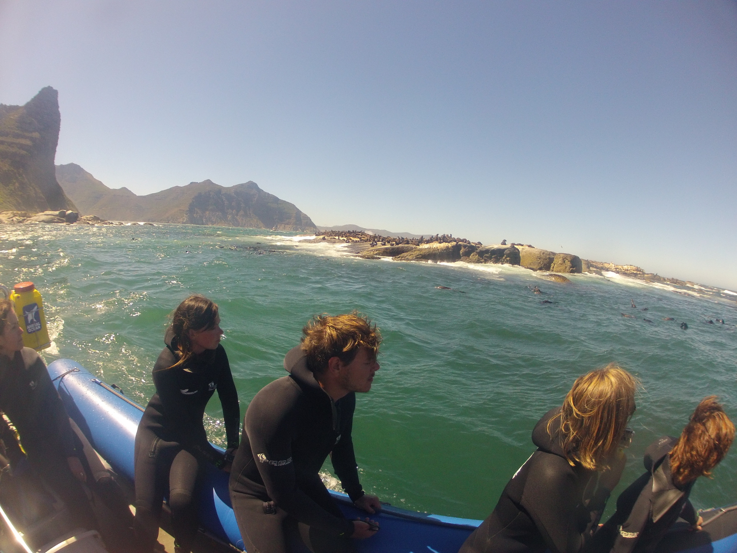 Snorkellers at Duiker Island, South Africa. Image by Simon Richmond / Lonely Planet