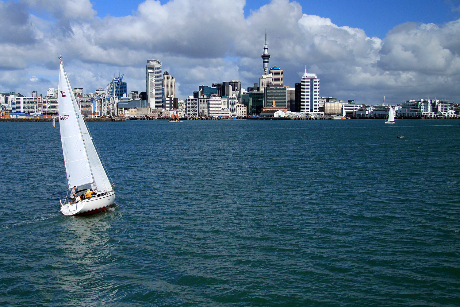 Don't know your starboard from your stern? Even beginners can have a go at sailing past the sparkling Auckland skyline. Image by Ronnie Macdonald / CC BY 2.0