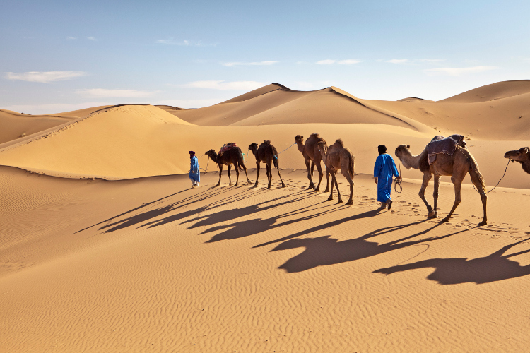 Travel deep into the desert on camels. Image by Frans Lemmens / The Image Bank / Getty