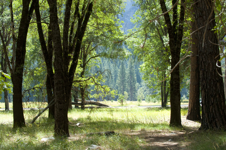 Getting back to nature in the high Sierra. Photo courtesy of California Travel and Tourism Commission/Andreas Hub.