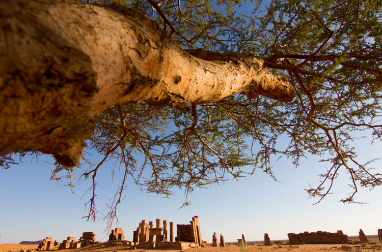  Naga's Temple of Amun. Image by Stuart Butler / Lonely Planet.