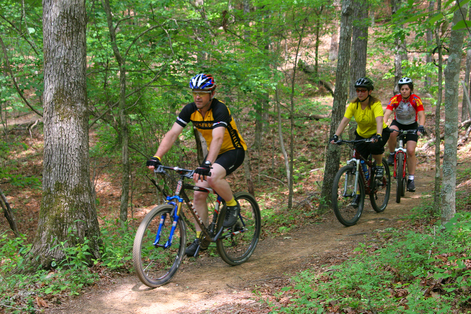 Fresh air right near the city: Oak Mountain State Park is a superb spot to cycle.