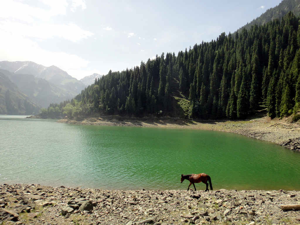 Tianchi Lake. Photo by Mathieu Dreo / CC BY-SA 2.0