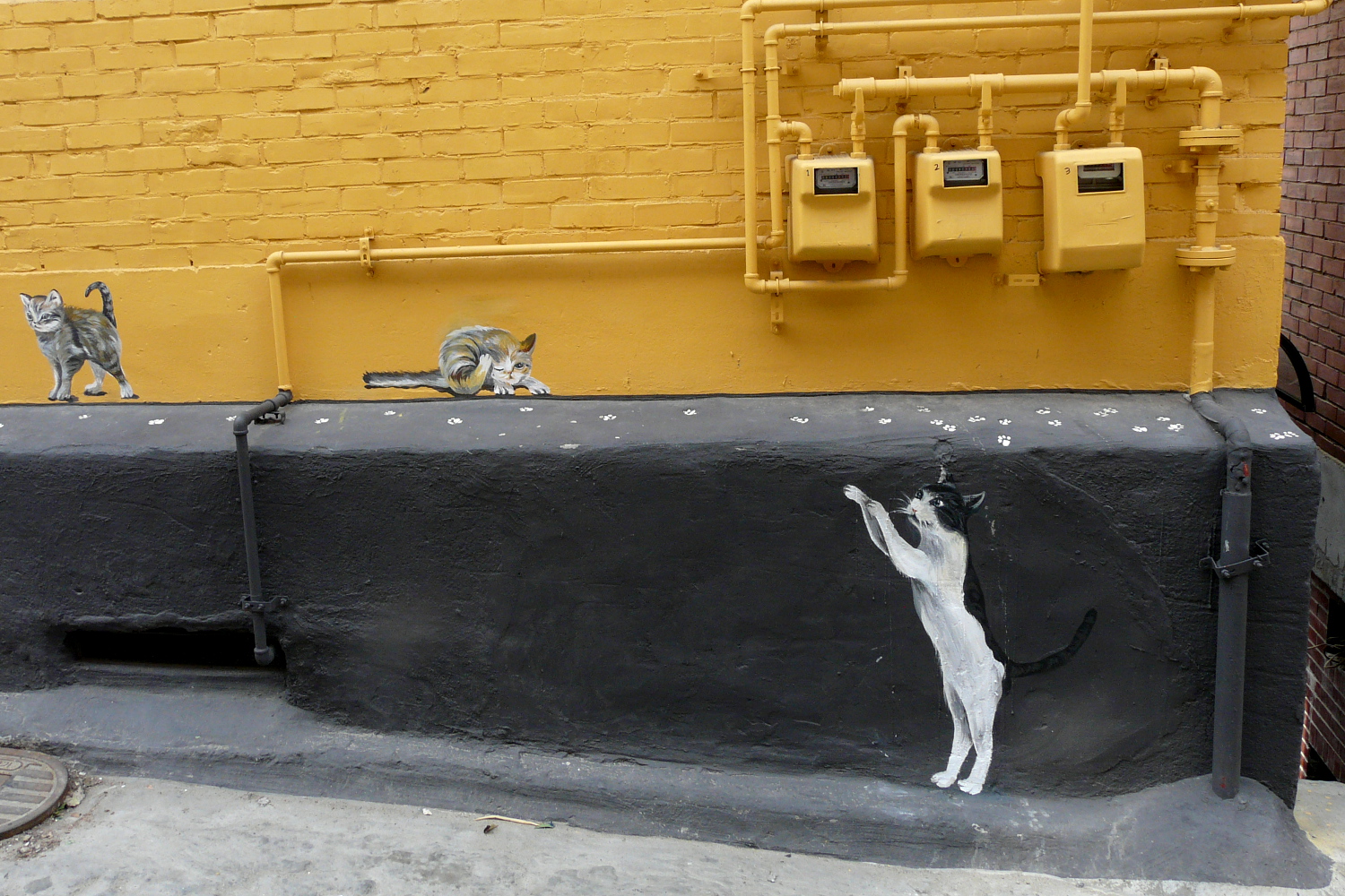 Playful painted cats leaving tracks in Ihwa Maeul. Image by Trent Holden / Lonely Planet