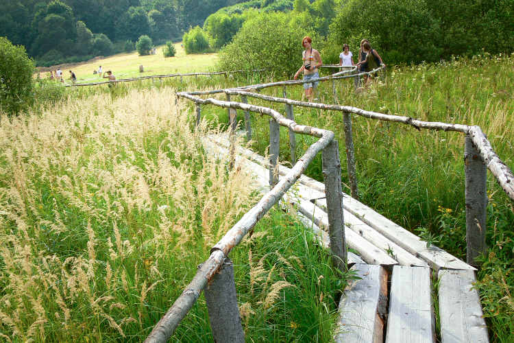 Outdoors trail, Archstoyanie summer festival. Image by Ksenia Smirnova / CC BY 2.0