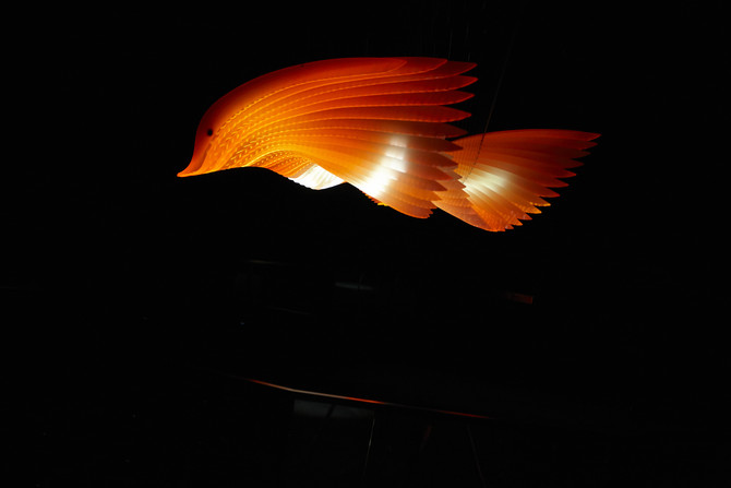 Bunjil's wing, a kinetic sculpture in First Peoples exhibition, Bunjilaka, Melbourne Museum/ Image by Jon Augier / ENESS 