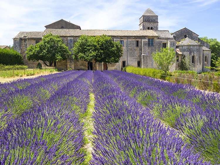 Saint Paul-de-Mausole asylum in Saint-Rémy