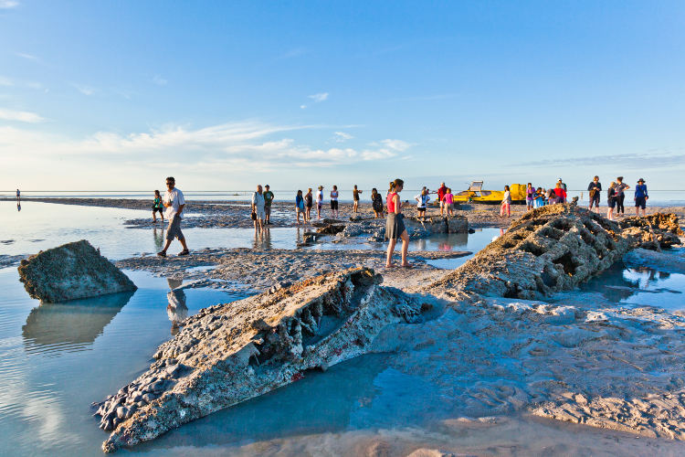 WWII Catalina flying boat wrecks at Roebuck Bay. Image by Manfred Gottschalk / Lonely Planet Images / Getty Images