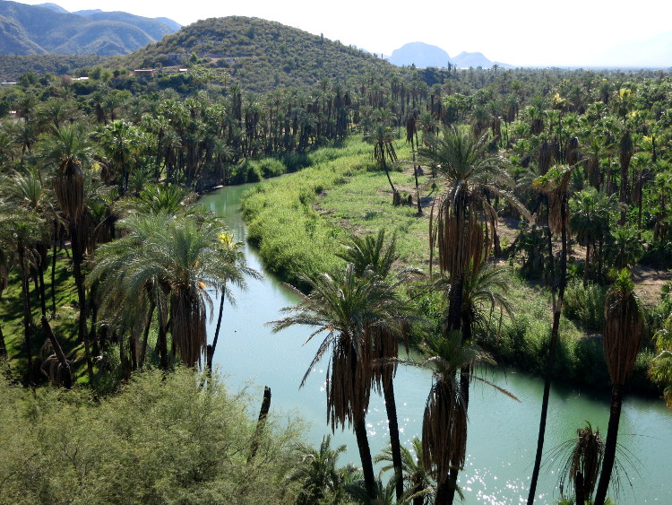 The church in Mulegé stands on a hill overlooking a lush oasis. Image by Clifton Wilkinson / Lonely Planet