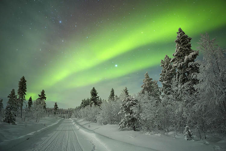 Crane your neck at a celestial lightshow in the Arctic Circle - witnessing the aurora borealis requires patience, luck and clear weather. Image by Sarah Winter / E+ / Getty Images