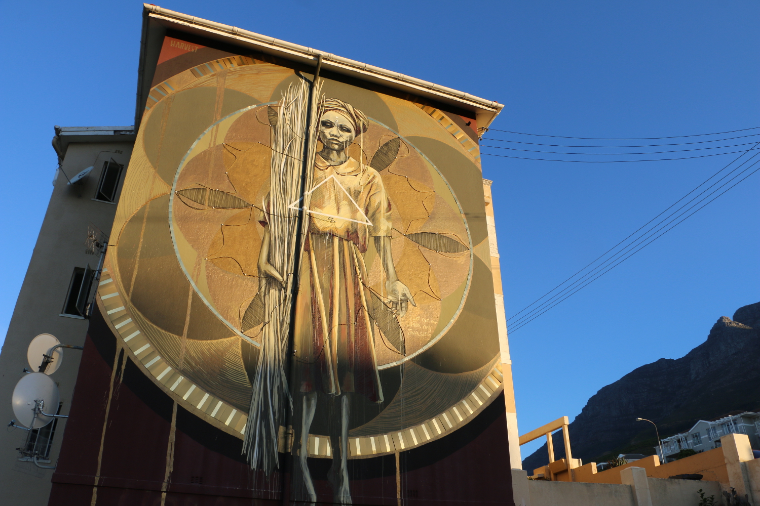 The Harvest by Faith 47, Cape Town. Image by Simon Richmond / Lonely Planet