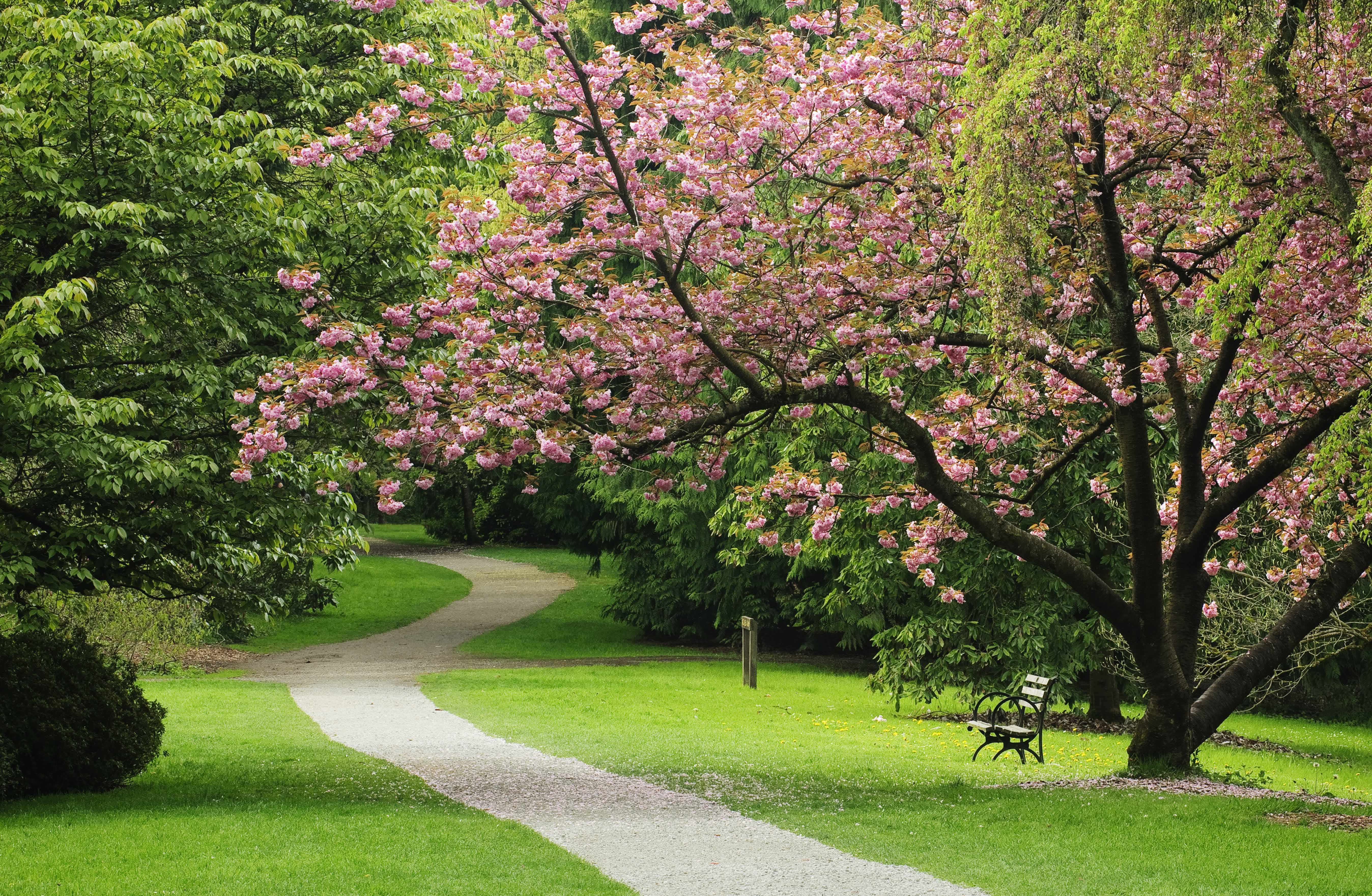 With miles of trails, Seattle is an excellent place for runners and bikers. Image by Greg Vaughn / Getty