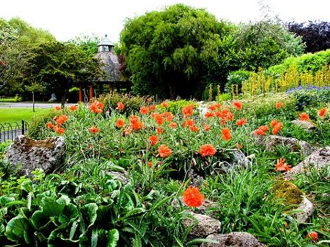 Flower garden in St Stephen's Green, by Joe Anderson. CC BY-SA 2.0