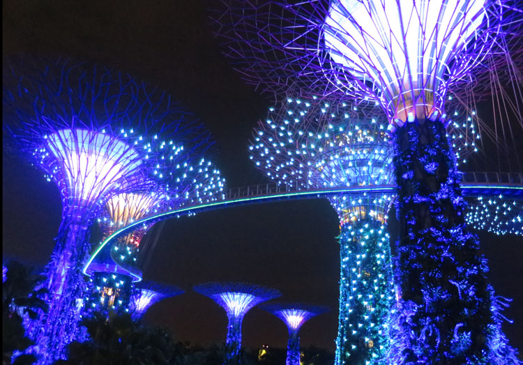 Sound and light show, Gardens by the Bay, Singapore. Image by Sarah Reid