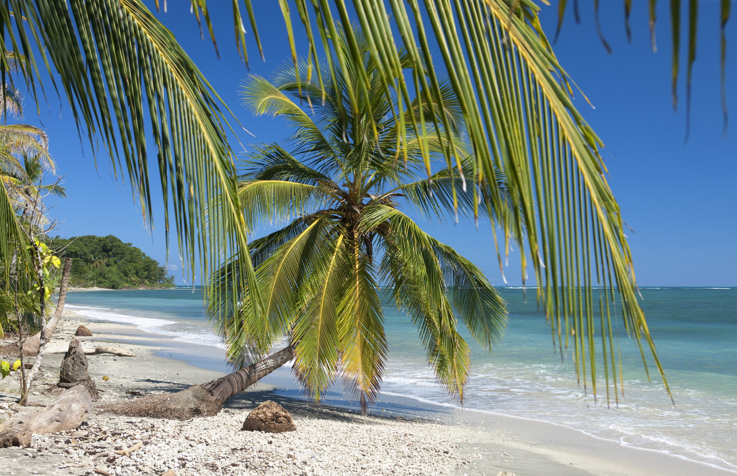 Cahuita National Park is jumping off point for snorkeling Costa Rica's only remaining coral reef, on the Caribbean coast. Image by Stuart Pearce / age fotostock / Getty