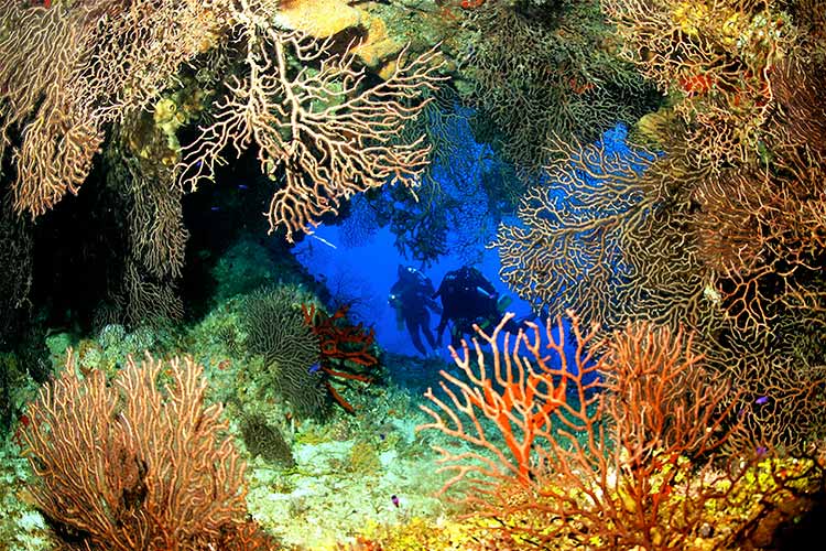 A multi-coloured grotto at Grand Cayman's Ghost Mountain. Image courtesy of the Cayman Islands Department of Tourism / Lonely Planet.