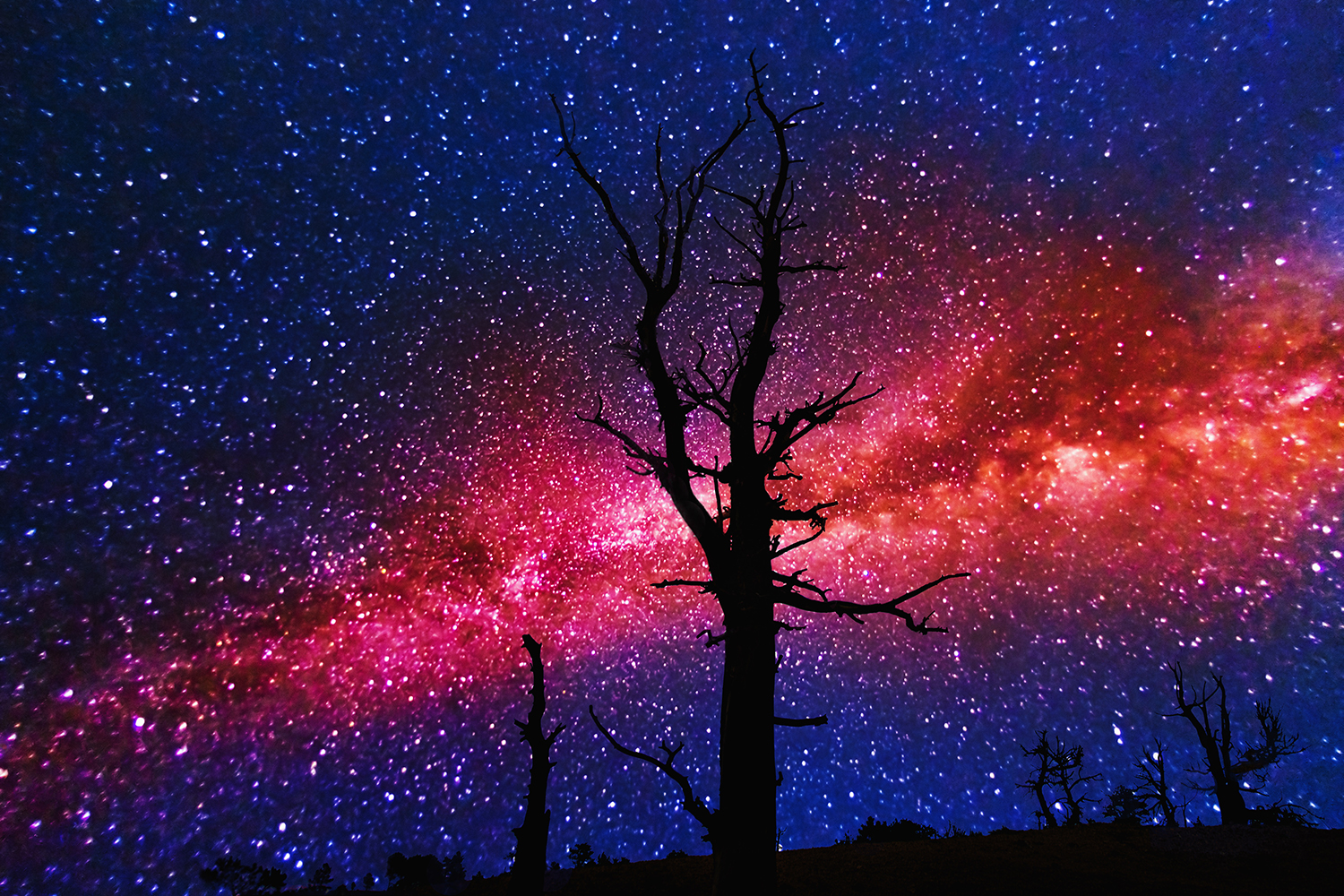 Thousands of stars light up the night sky at Bryce Canyon. Image by Tetra Images / Getty Images