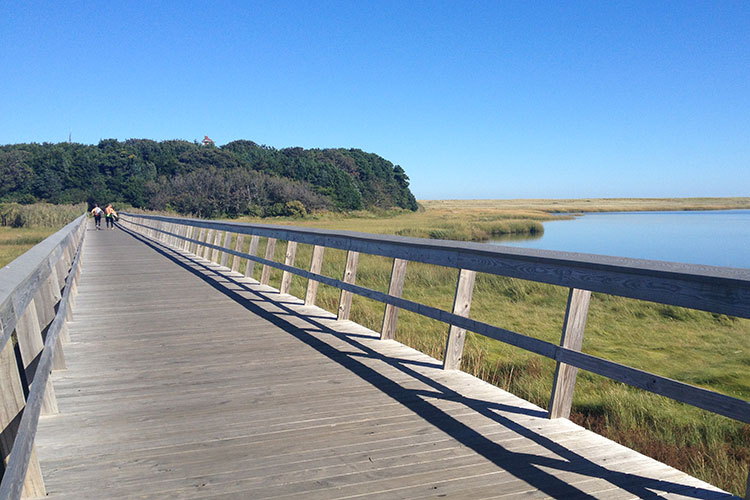 Exploring Cape Cod’s pristine coastline is a rite of passage for many American families. Image by Rana Freedman / Lonely Planet.