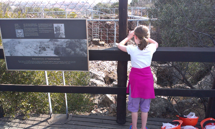 Excavations at Sterkfontein Caves