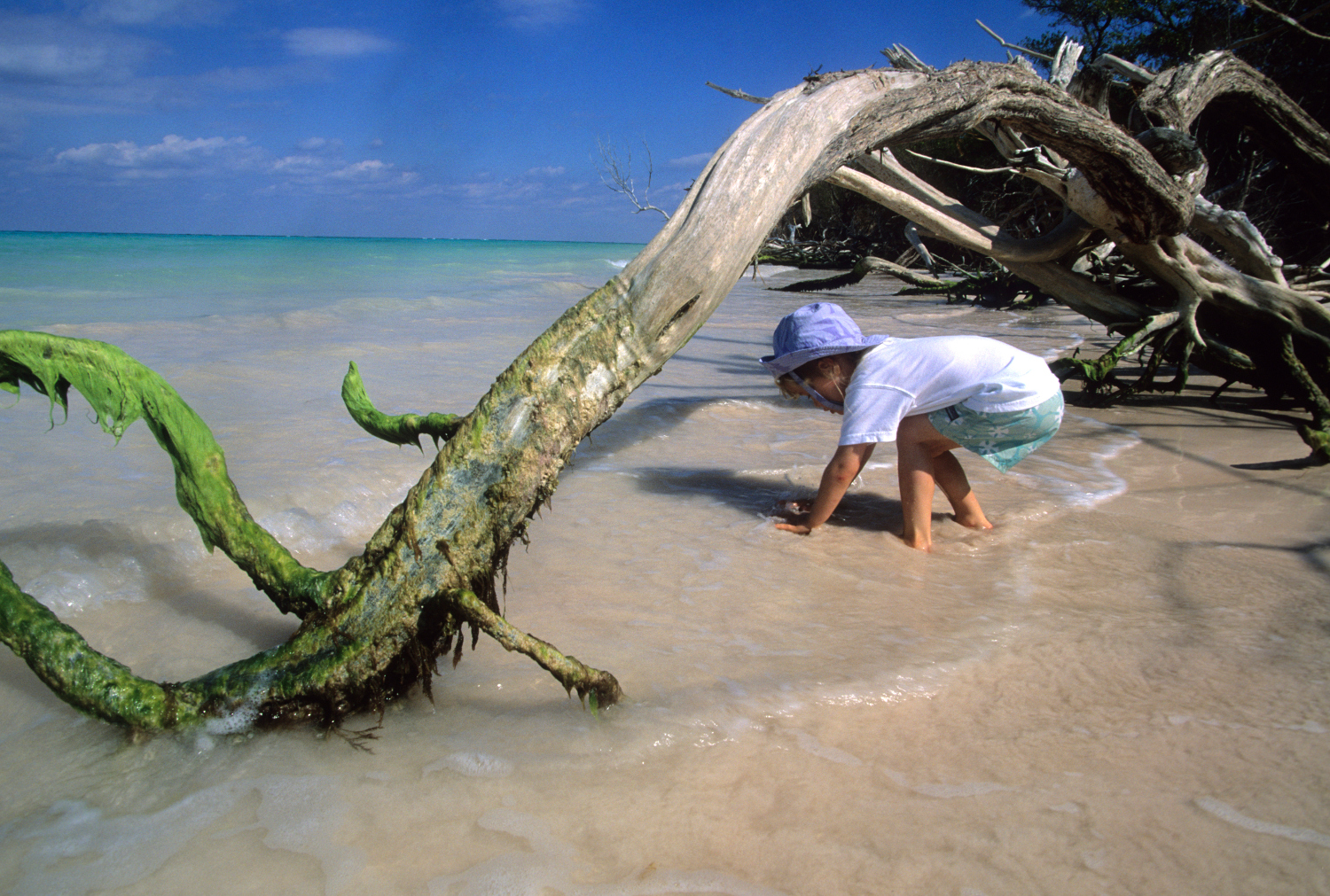 Kids love exploring at the beach, and Cuba has plenty. Image by Beth Wald / Aurora / Getty