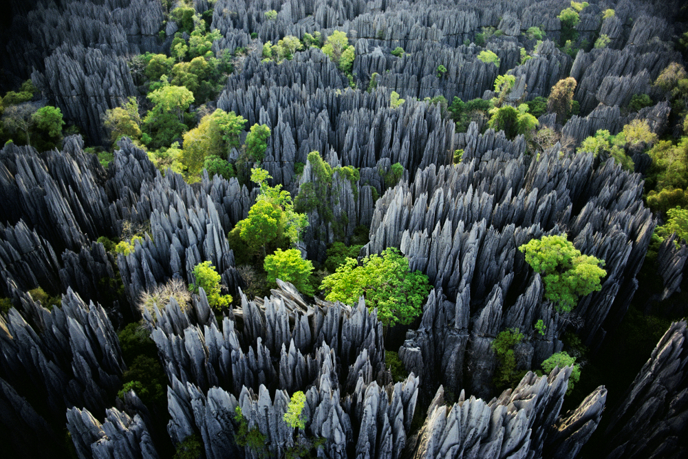 Bemaraha National Park, Madagascar