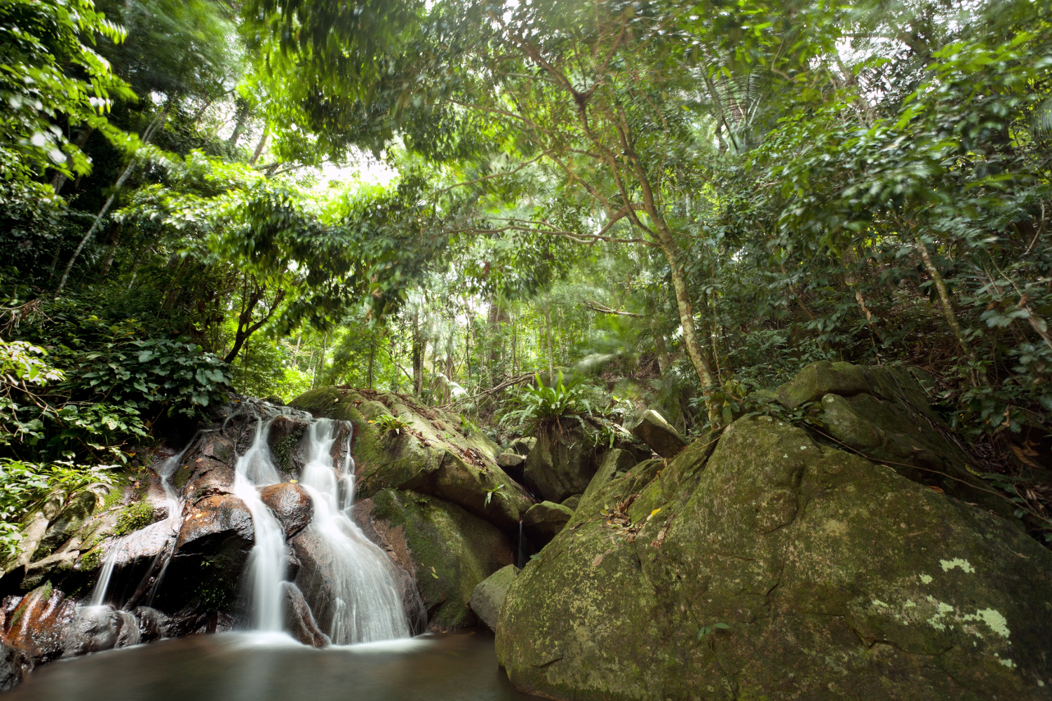 Rainforest waterfall on Tioman island © Stephane Bidouze / Shutterstock