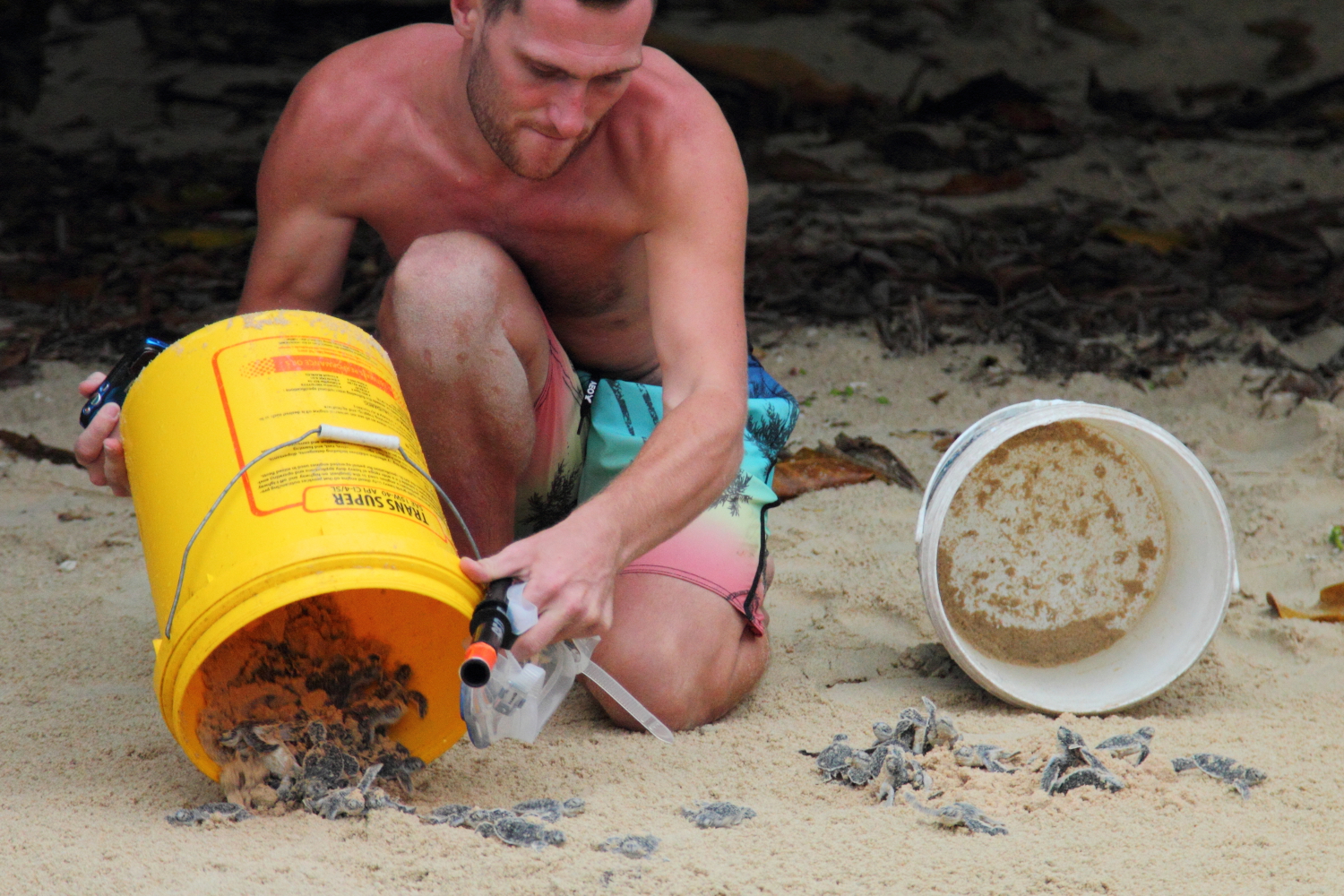 Volunteer of a turtle conservation program on Perhentian island © Ye Choh Wah / Shutterstock