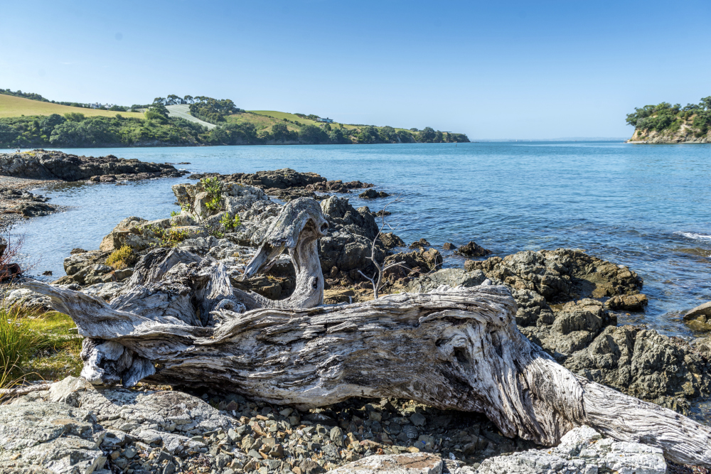 The salt weathered shore on a hike around Waiheke Island. Image by Troyana / Getty